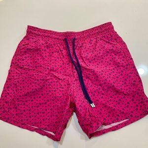 Vilebrequin Swim Trunks